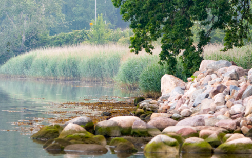 Vand og stensætning