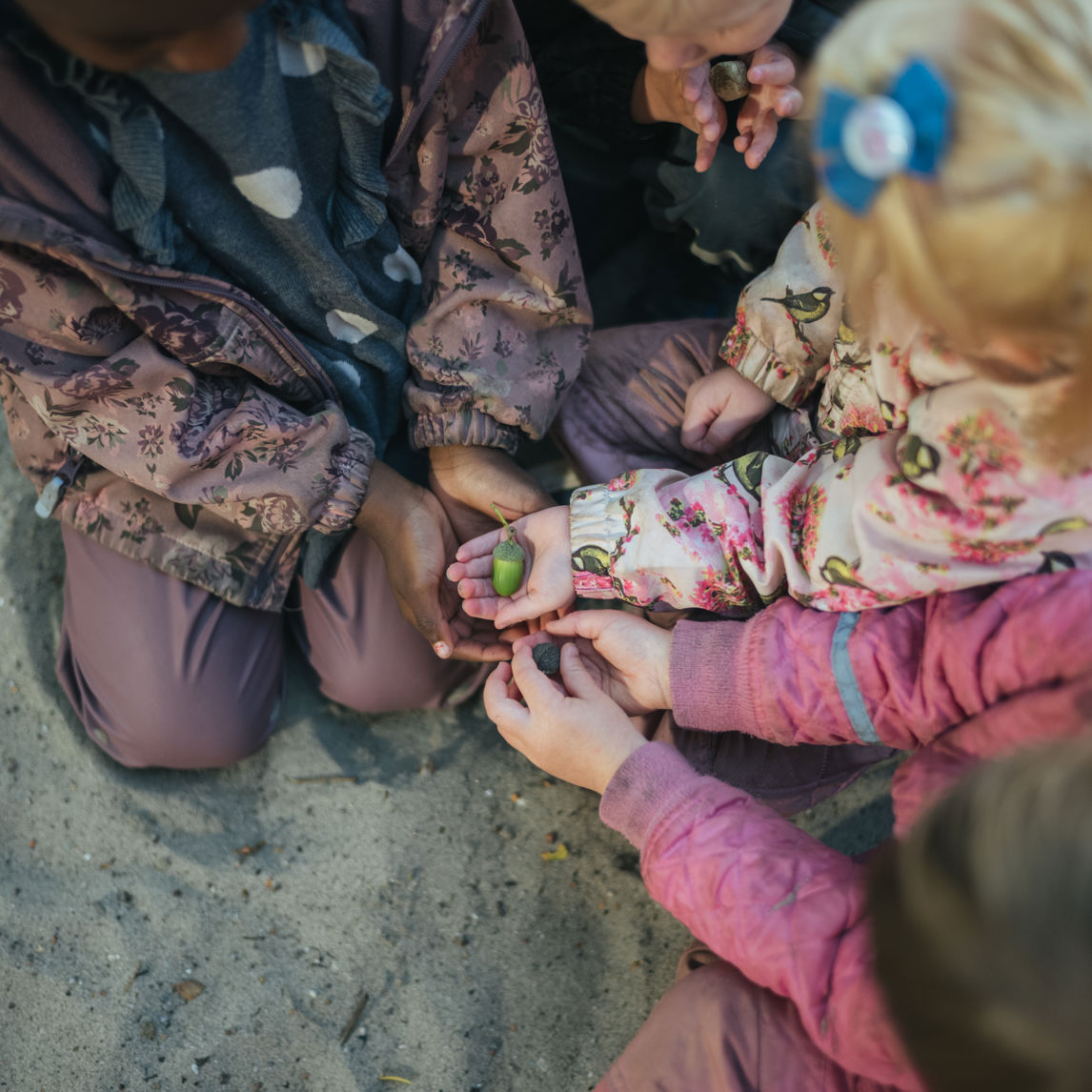4 børn sidder i sandet på knæ og har et agern i hånden