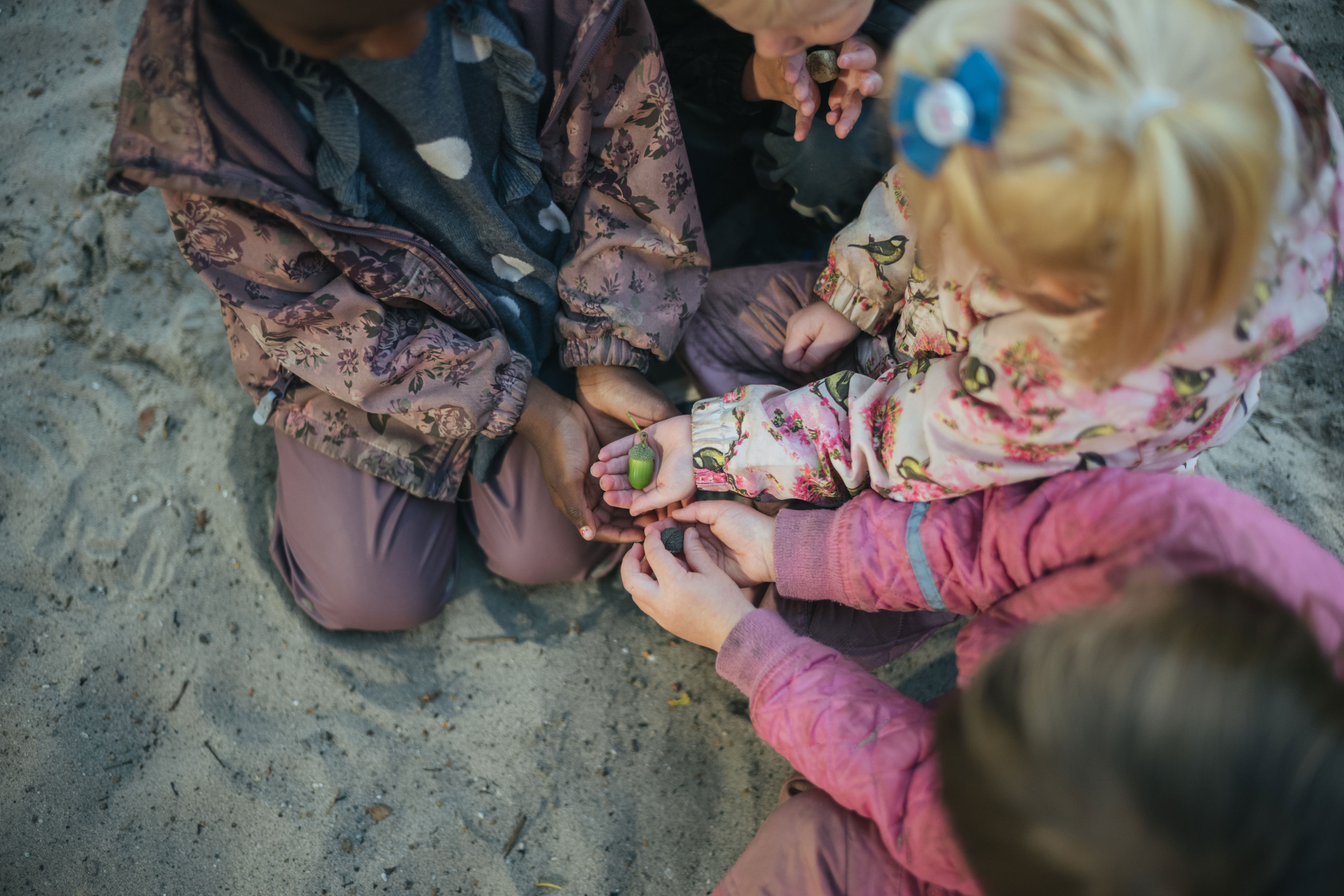 4 børn sidder i sandet på knæ og har et agern i hånden