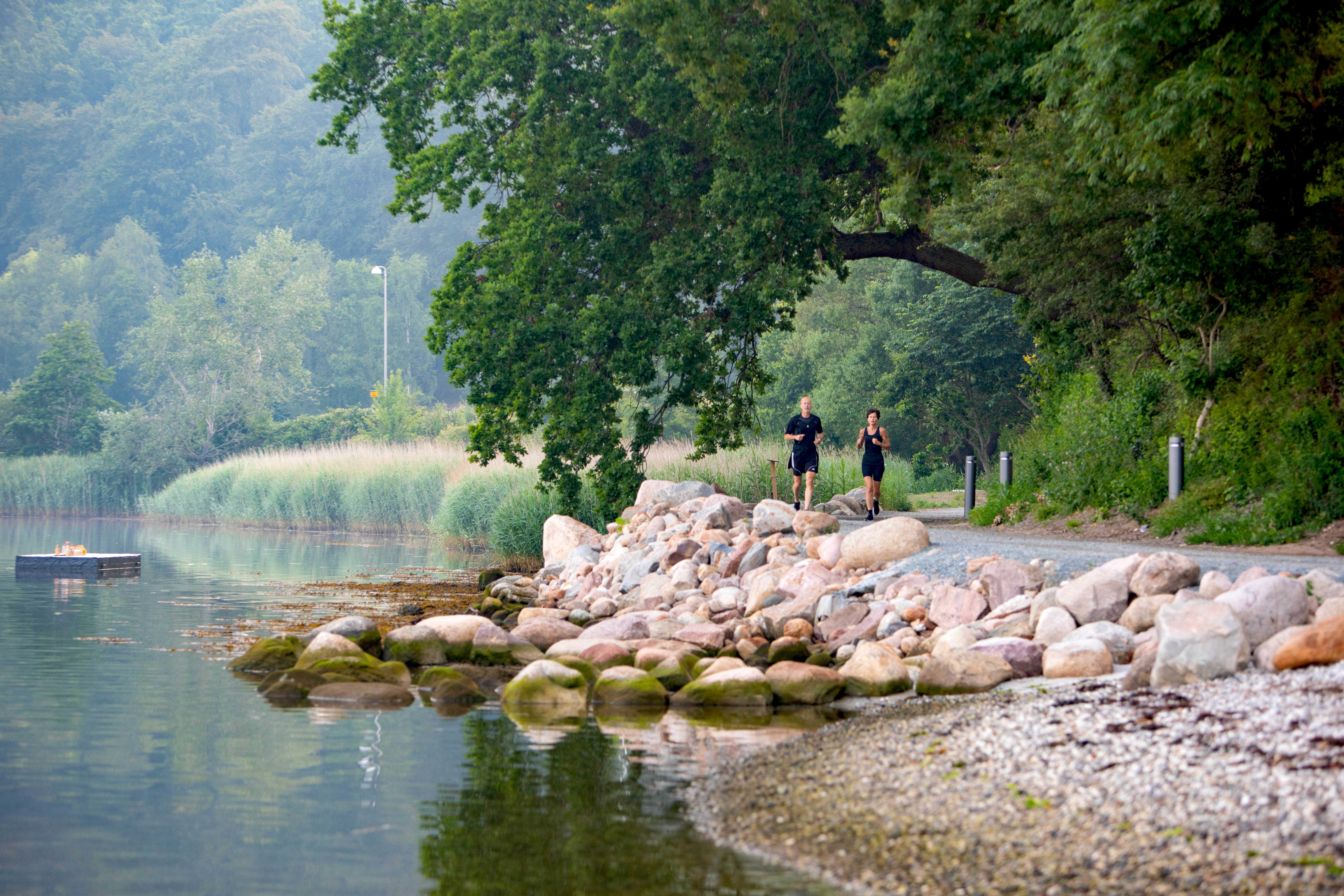Motionister ved den nyreoverede Skyttehushave 2019