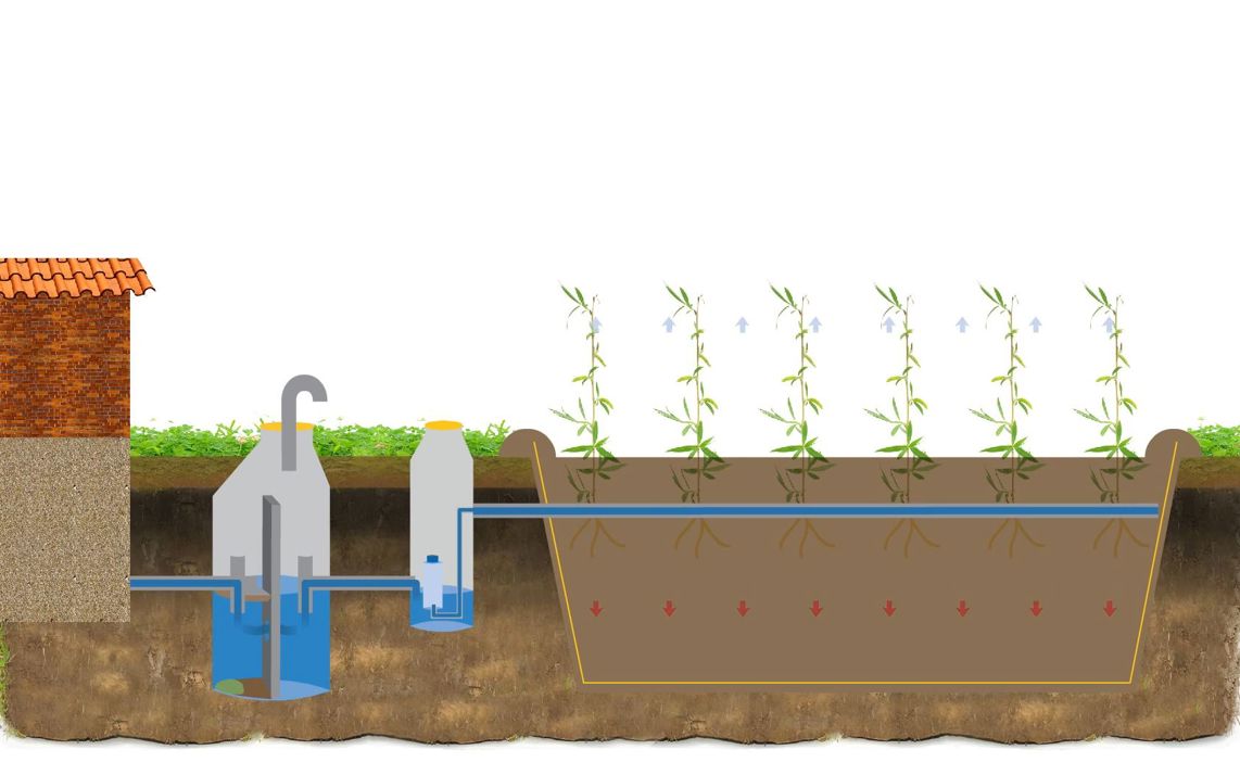 Illustration af et pileanlæg