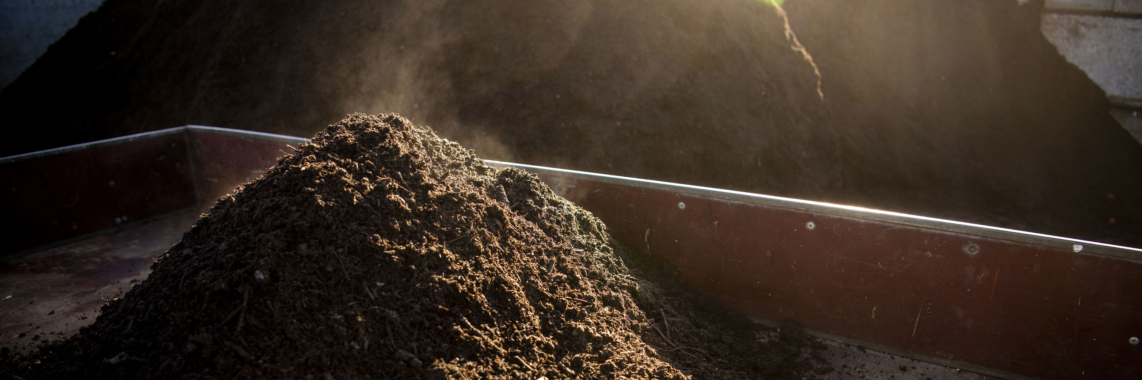 Dampende kompost i trailer.