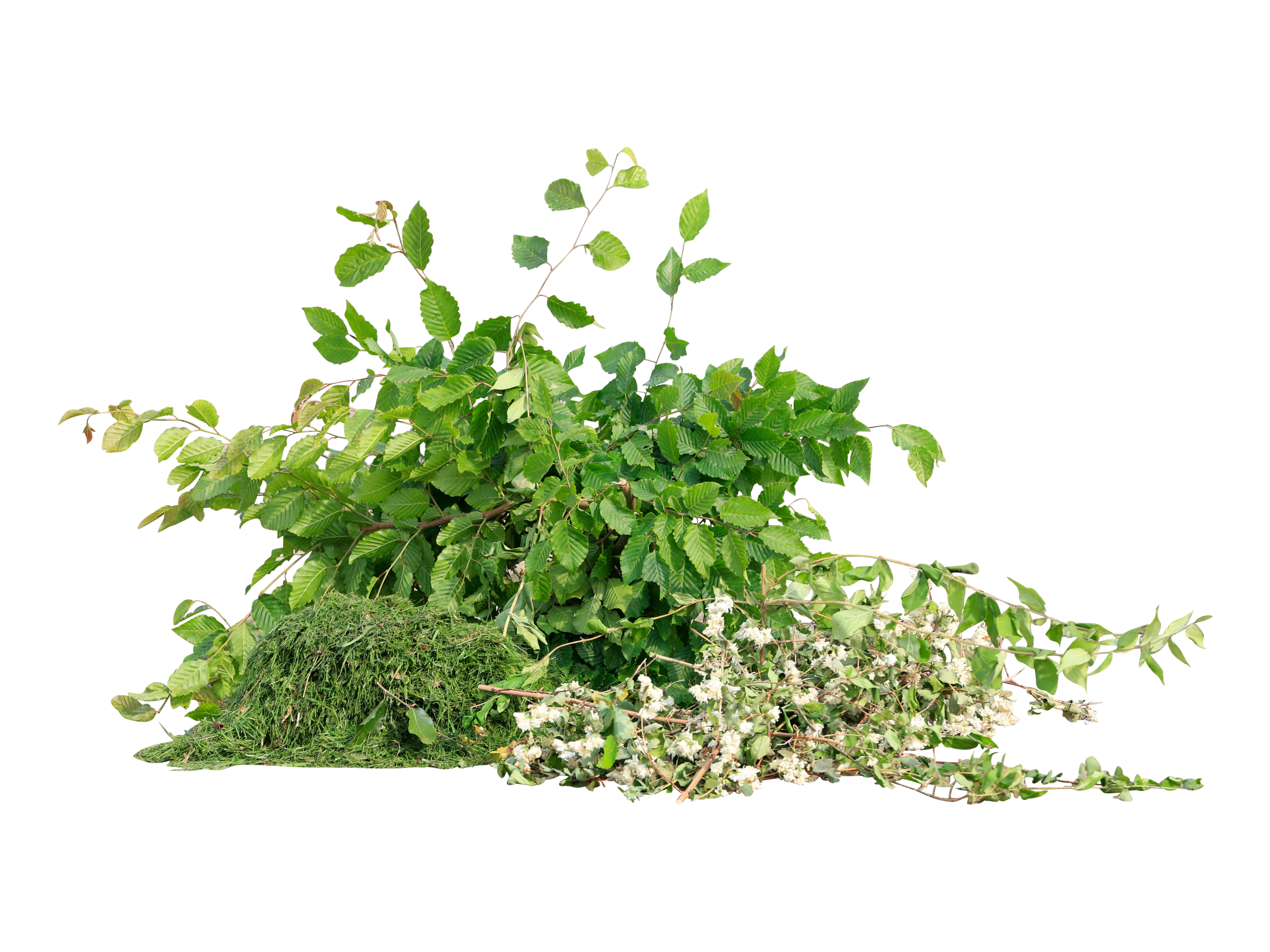 Haveaffald – Afskårne grene og blade klar til genanvendelse som kompost.