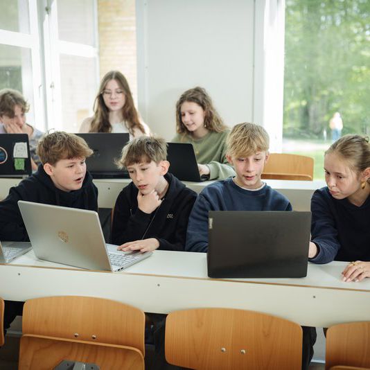 Elever der arbejder sammen ved pc'ere